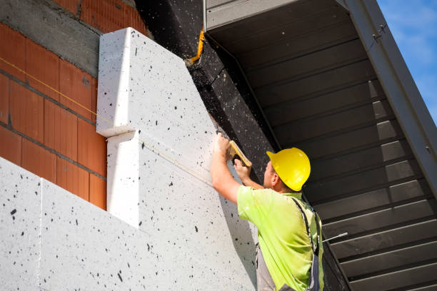 Best Attic Insulation Installation  in Picture Rocks, AZ