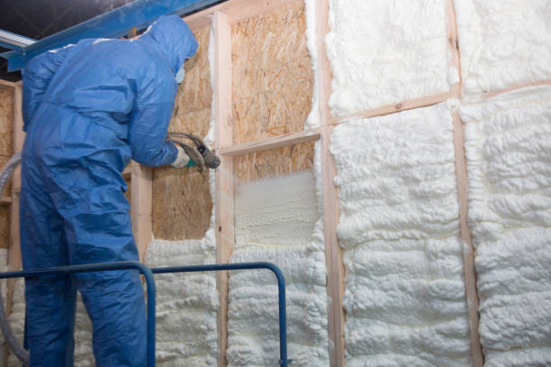 Best Wall Insulation Installation  in Picture Rocks, AZ